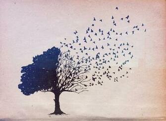 Trees Birds Wallpaper