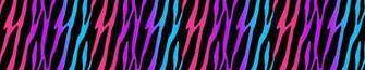 Rainbow Zebra Wallpaper Border Wall Decals Teen Girls Room Decor