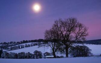 Nature Landscapes Trees Farm Pasture Fields Hills Winter Snow Seasons