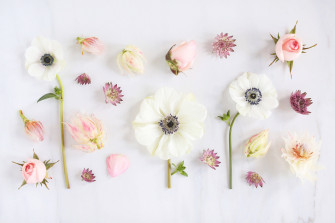 Floral Desktop With Various Flowers Eybrfbffn9usf45c Wallpaper