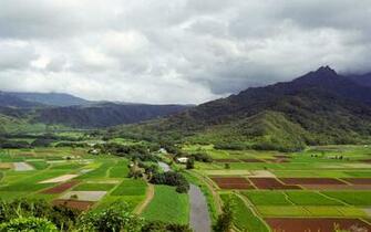 Clovisso Wallpaper Gallery Hanalei River Valley