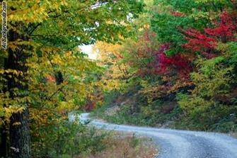 West Virginia Background Myspace