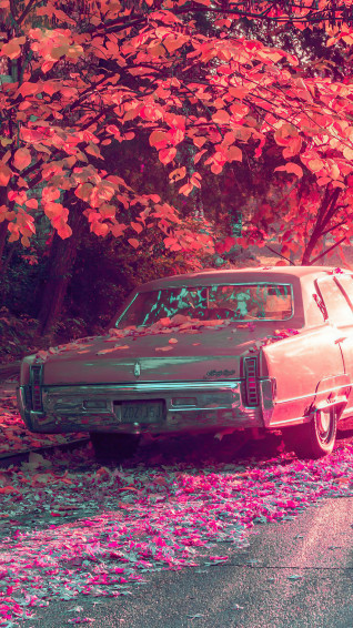 Vintage Cars Photography HD 4k Rare Gallery Wallpaper