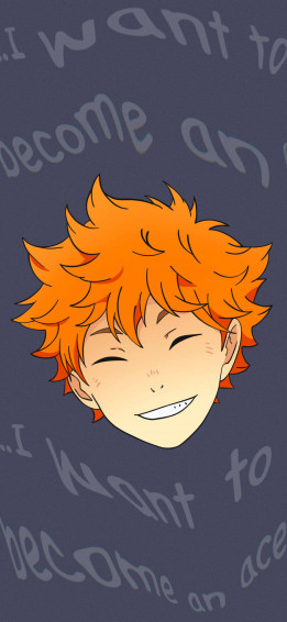 Shoyo Hinata Wallpaper