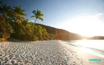 Usvi Trunk Bay Desktop Wallpaper