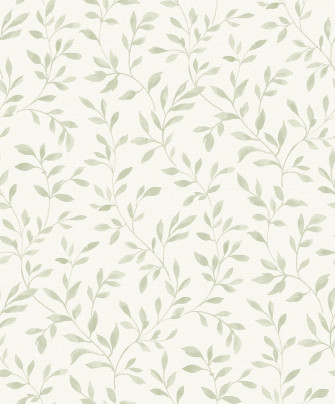 Sage Green Aesthetic Wallpaper