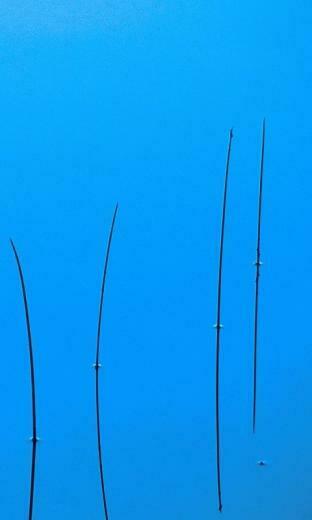 Lumia Wallpaper Wowwindows