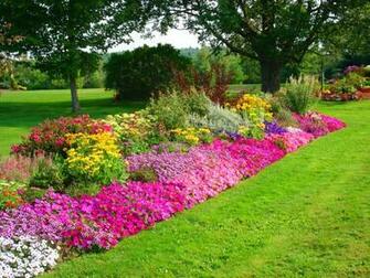 Flower Wallpaper Sunset Spring Vilage