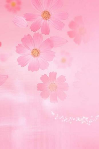 iPhone Wallpaper Pink Green Poison