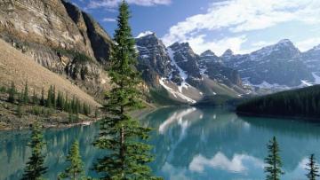 HD Wallpaper Nature Background For