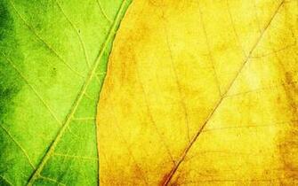 Cool Green Textured Background X HD Wallpaper