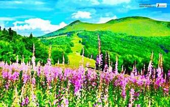 Wallpaper Beautiful Spring Scenery Dream Landscape Desktop