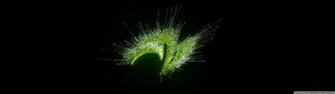 Nvidia Jubilee 4k HD Desktop Wallpaper For Dual Monitor