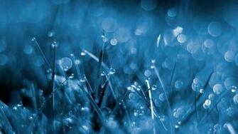 Wallpaper Blue Grass Abstract