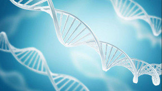 Genetic Engineering Promise Or Peril