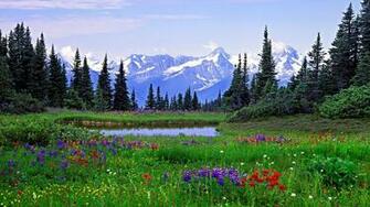 Back Gallery For Colorado Mountain Winter Desktop Wallpaper