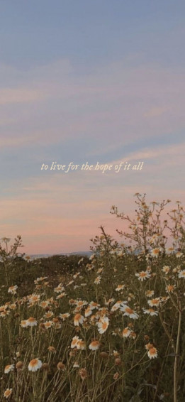August Taylor Swift Wallpaper In