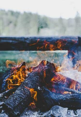 Bushcraft Pictures HD Image