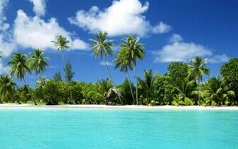 Tropical Island Beach Ocean Palm Palms Paradise Water