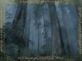 Elven Forest By Lionknight