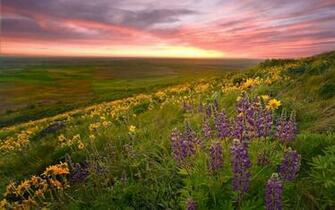 Cool Desktop Wallpaper Washington State