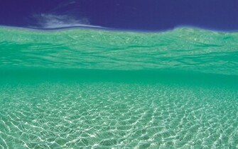 Rate Select Rating Give Holiday Beach