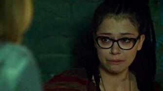Image Tatiana Maslany Orphan Black Cosima Pc Android iPhone