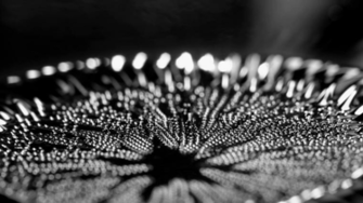 Ferrofluid Black Liquid Surface Abstract Background Stock Video
