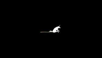 Minimalistic Crap Humor Unicorns Funny Horses Poop