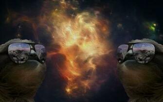 Sloth Wallpaper