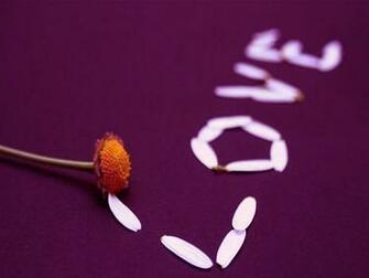 Wallpaper Love Words