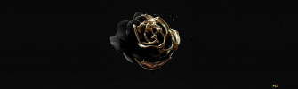 Image Of Rose Gold Color On Black 4k Wallpaper