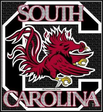 Larry Turner On Carolina Gamecocks