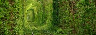 Nature Love Tunnels Ukraine Wallpaper