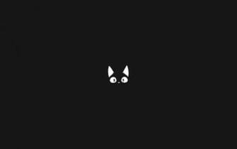 Cat Jiji Wallpaper Id Wallpapervortex