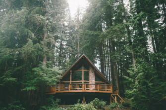 Wood House Wallpaper In Forest
