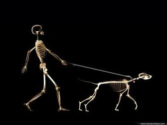 Funny Animations Pictures Sport Skeleton
