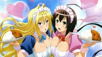 Sekirei Especial Engagement Pure Ova Peluchinga
