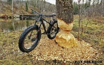 Wallpaper Wednesday Fat Bikes And Beavers Bike