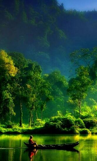 Nature Wallpaper Screensaver Pre Id