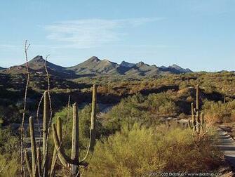 Arizona Wallpaper Image
