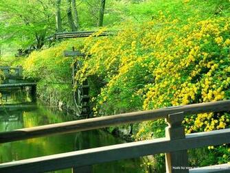 Kyoto Japanese Garden Wallpaper In Zen