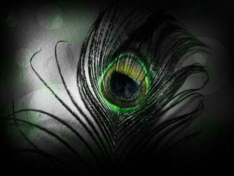 Peacock Feather Wallpaper