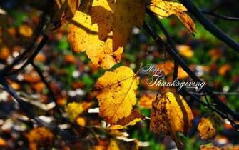 Fall Thanksgiving Wallpaper