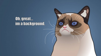Meme Wallpaper