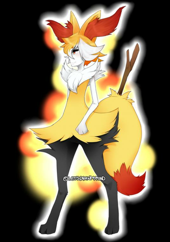 Braixen Pokemon By Iydimm