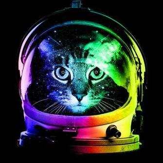 Astronaut Cat By Design Humans