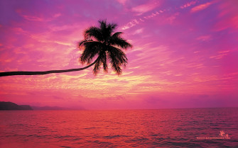 Colorful Sunsets Wallpaper