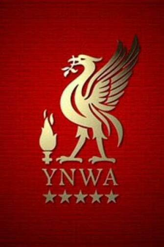 Liverpool Fc iPhone Wallpaper