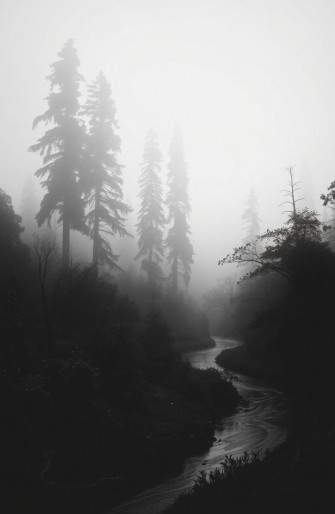 Black And White Nature Wallpaper